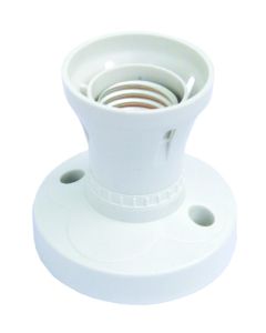  STRAIGHT LAMPHOLDER 1 Each 4034