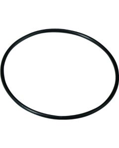 FILTER HOUSING O-RING 1"