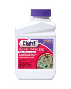 SPRAY CONCENTRATE 8-PINT