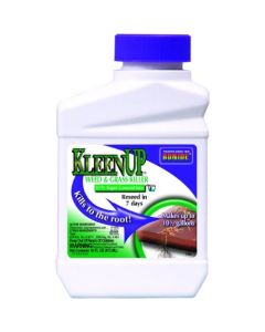 CONC. 1PT KLEENUP  7460