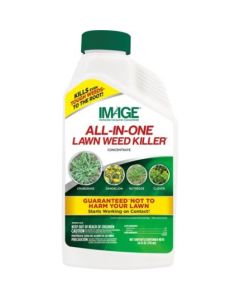 24OZ ALL IN 1 WEED KILLER