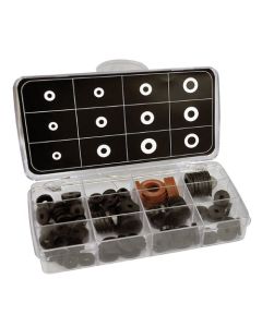 WASHER ASSORTED 10875