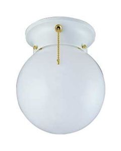  1 LT W/PULL CHAIN 1 Each 598-6963