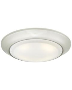 SRFC MNT BN LG LED W/FRST LENS