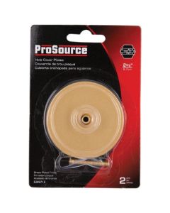 BRS 25/8DIA PLATE HOLE COVER