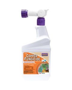 1 PT FUNGICIDE COPPER RTS