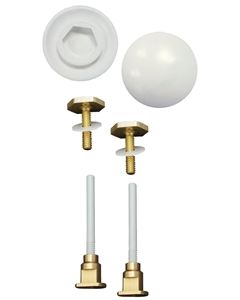  TOILET BOLTS AND CAPS K835-171 174-4622