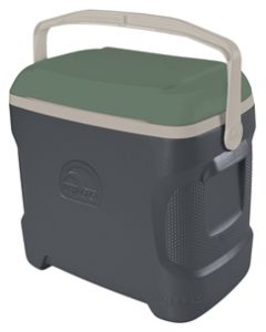  COOLER 49625/44197 30 QUARTS GREEN 997-2365